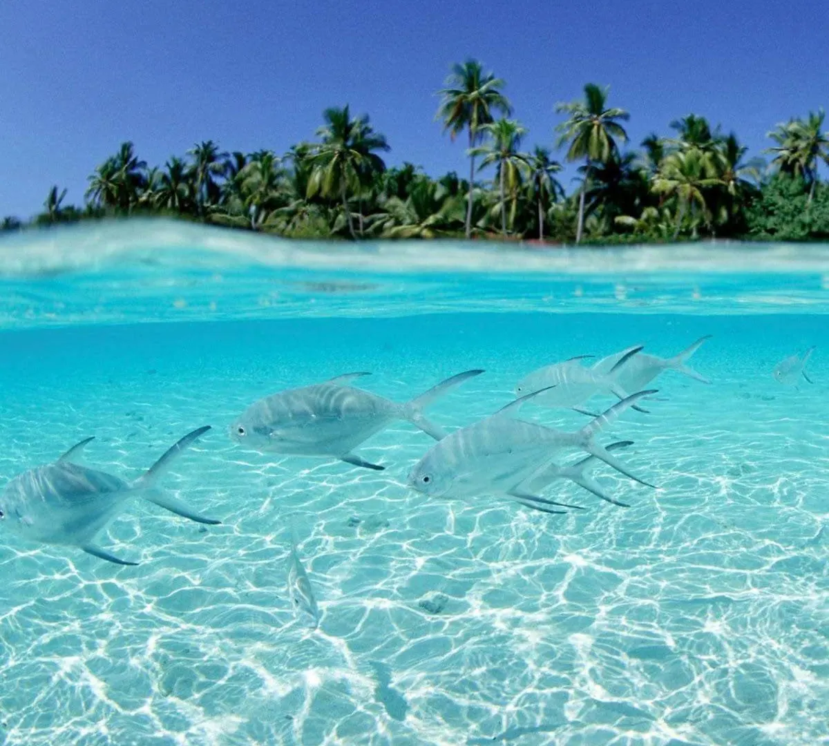 Sol Caribe Beach Group Punta Cana Dominican Republic